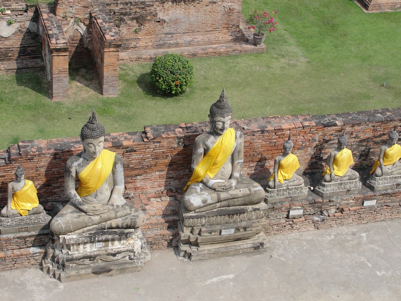 Muitos Budas