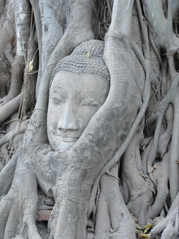 A imagem símbolo de Ayutthaya