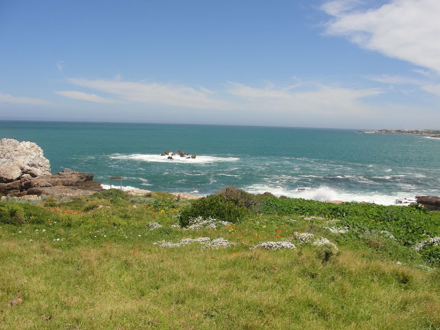 Praia Hermanus África do Sul