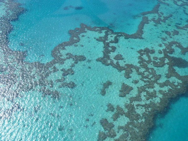 coração da barreira de corais na Austrália
