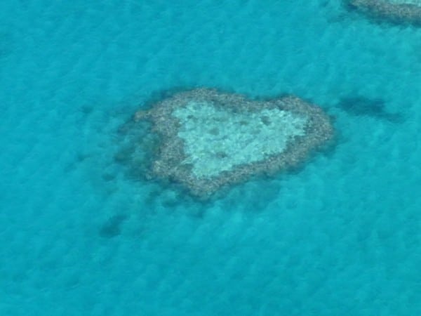coração da barreira de corais na Austrália
