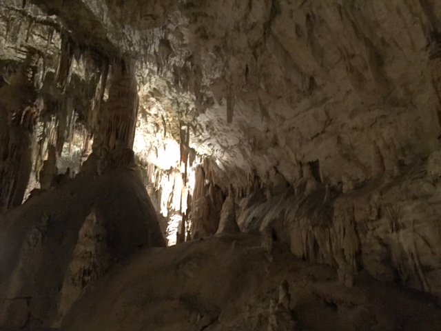 caverna de postojna - eslovênia - Preciso Viajar