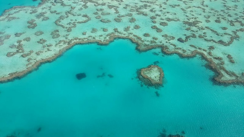 voo panoramico whitehaven beach e barreira de corais