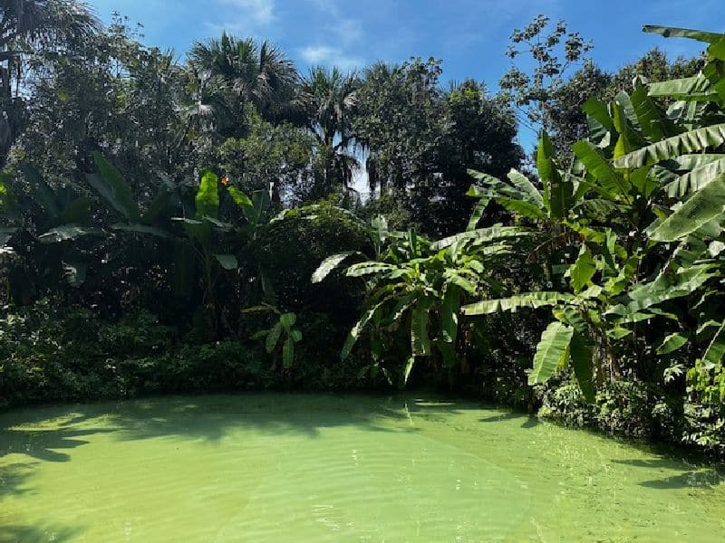 fervedouro boa vista